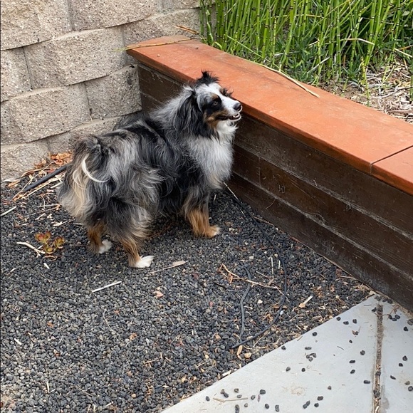 Meet your Posher, Angie - Picture 1 of 1